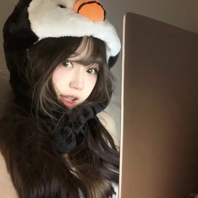 狐狸在手